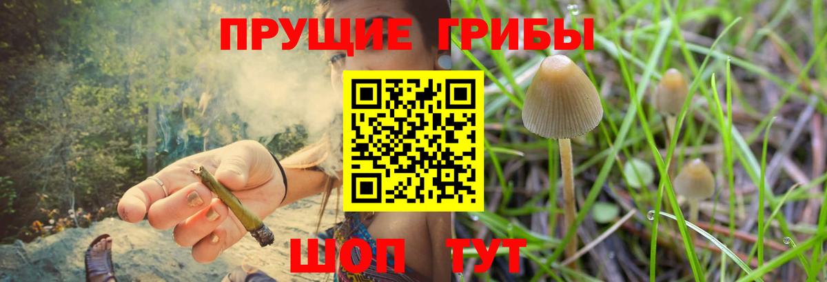 Сланцы  Псилоцибиновые грибы мухоморы  Вход с VPN  Псилоцибиновые грибы MAGIC MUSHROOMS 